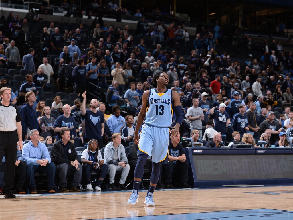 澳门永利皇宫发财树为何成为游客拍照热门打卡地？